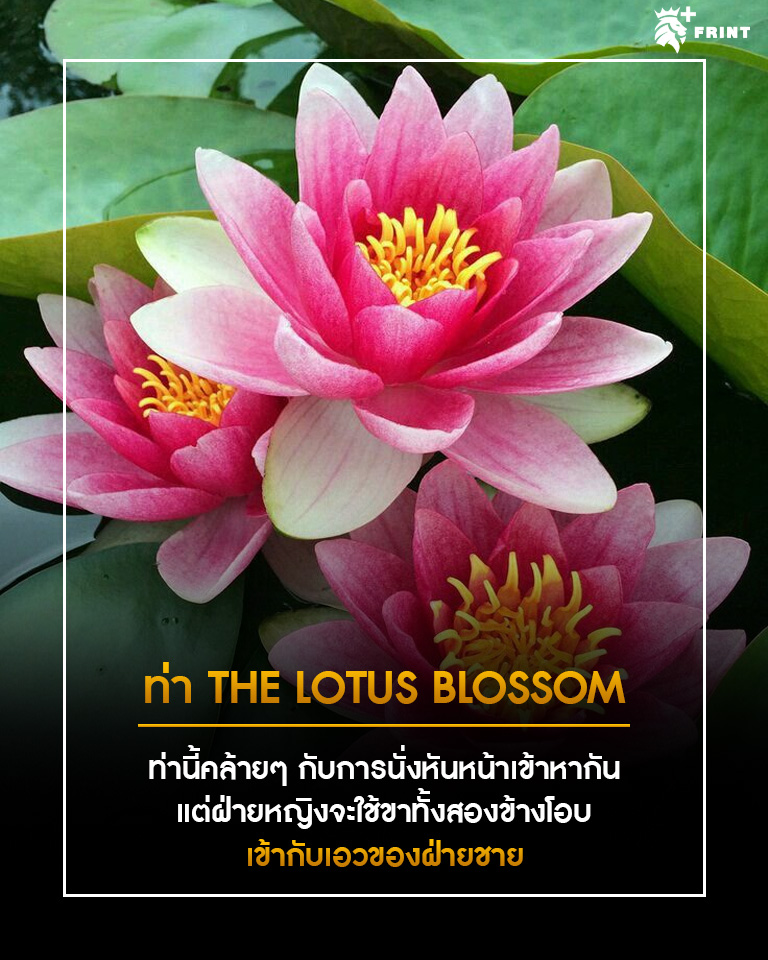 ไส้หัวข้อ1. ระเบิดพลังรักด้วย 5 ท่าเซ็กซ์สุดเร่าร้อน พร้อมกระตุ้นระบบเผาผลาญได้เยี่ยม 2